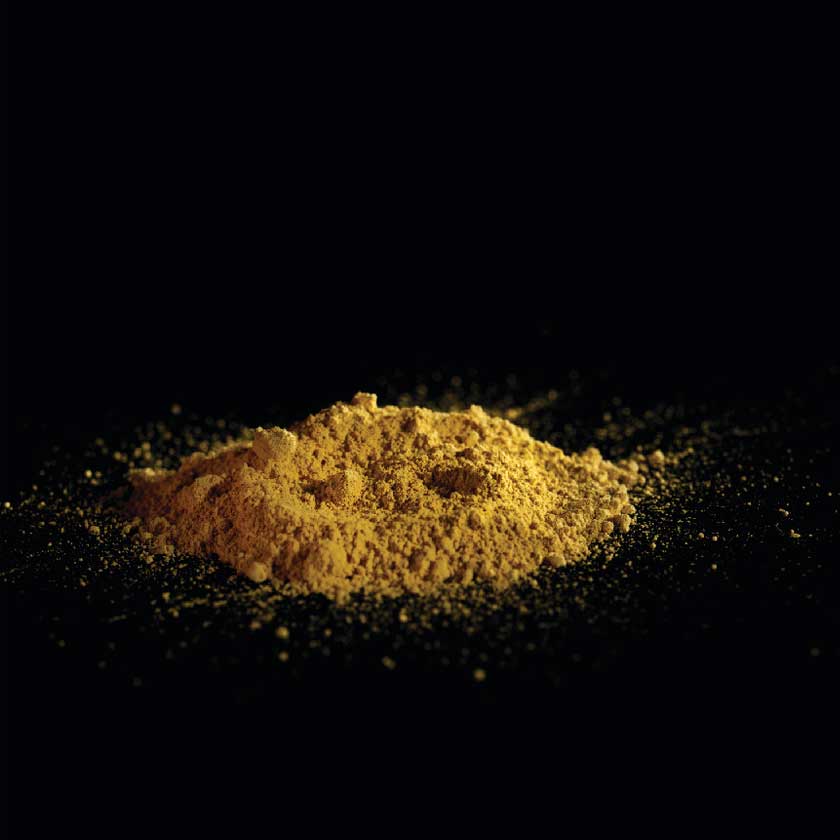 Skones-Agiografias-Art&Colour