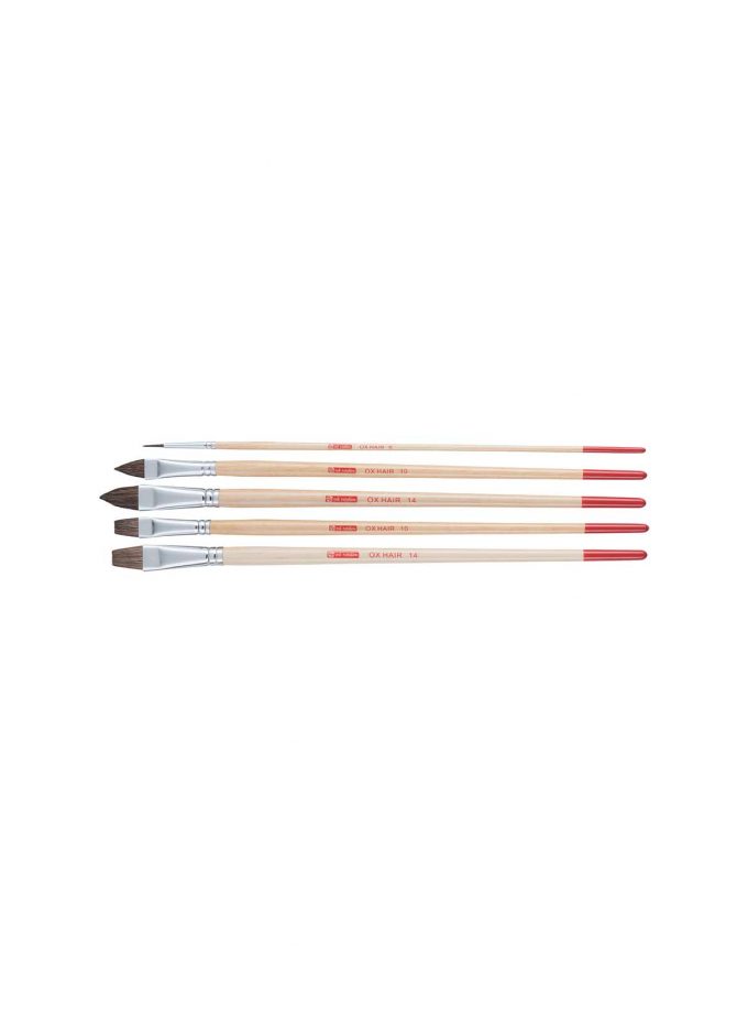 Set of 5 Flat Brushes with Ox Hair Art Creation Talens