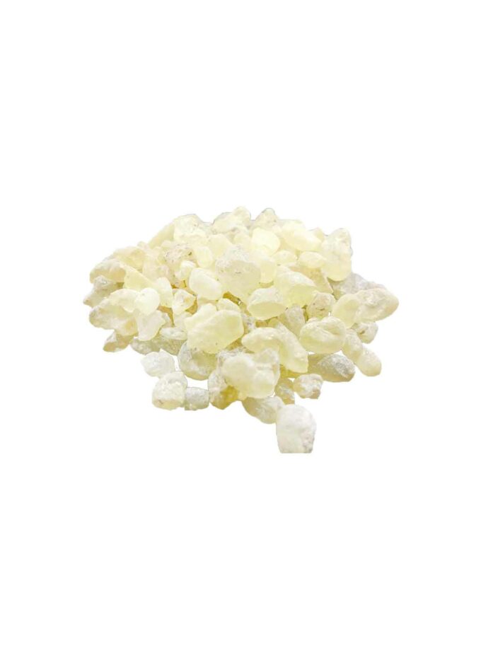 kommi-damaris-gum-damar-Art&Colour