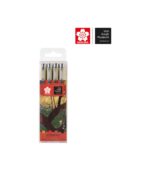 set-4-markadorakia-pigma-micron-fineliners-VanGogh-Museum-Sakura-Art&Colour-2