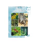 Leonardo Collection: Trees and Leaves (No45)