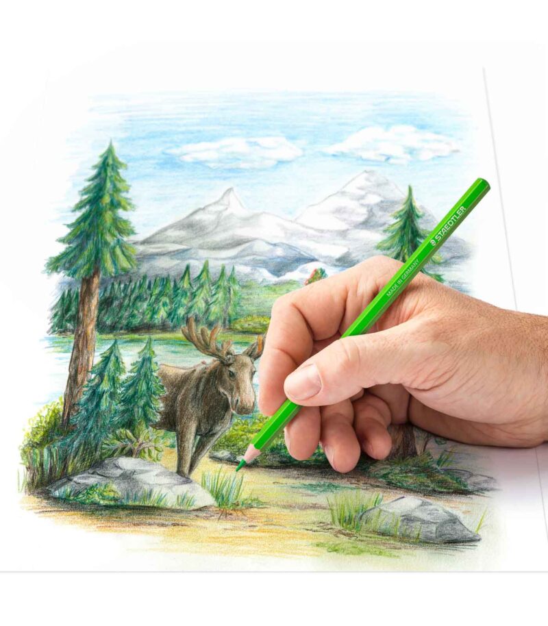 146C-C-set-moluvia-ksulompogies-Coloured-Pencils-Staedtler-Art&Colour-Colorcard