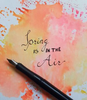 BZL-Bruynzeel-Calligraphy-Set-14-Pieces-Royal-Talens-Art&Colour-03