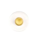 Xrusokondulia-Gold-Shell-23.75karatia-Manetti-Art&Colour