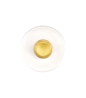 Xrusokondulia-Gold-Shell-23.75karatia-Manetti-Art&Colour