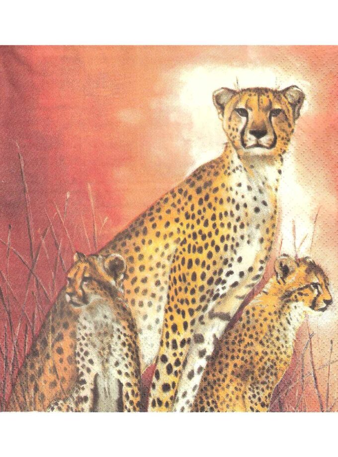 Decoupage Napkin 33x33cm Cheetah