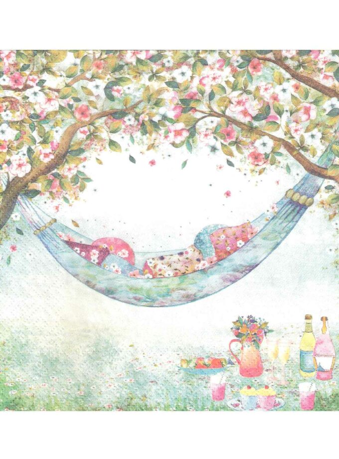 Decoupage Napkin 33x33cm Hammock and Cushions