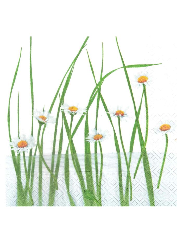 Napkin Decoupage 33x33cm Daisies