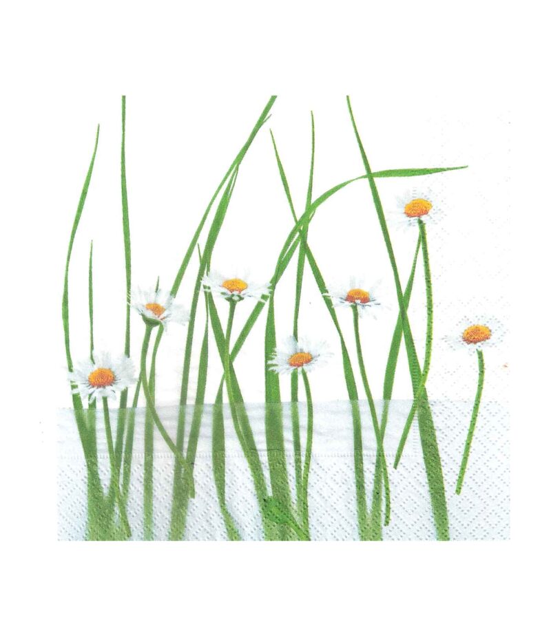 Margarites-Xartopetsetes-33x33cm-Art&Colour Margarites-Xartopetsetes-33x33cm-Art&Colour