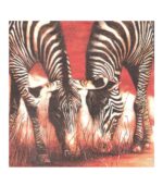 Zebra-Xartopetsetes-33x33cm-Art&Colour