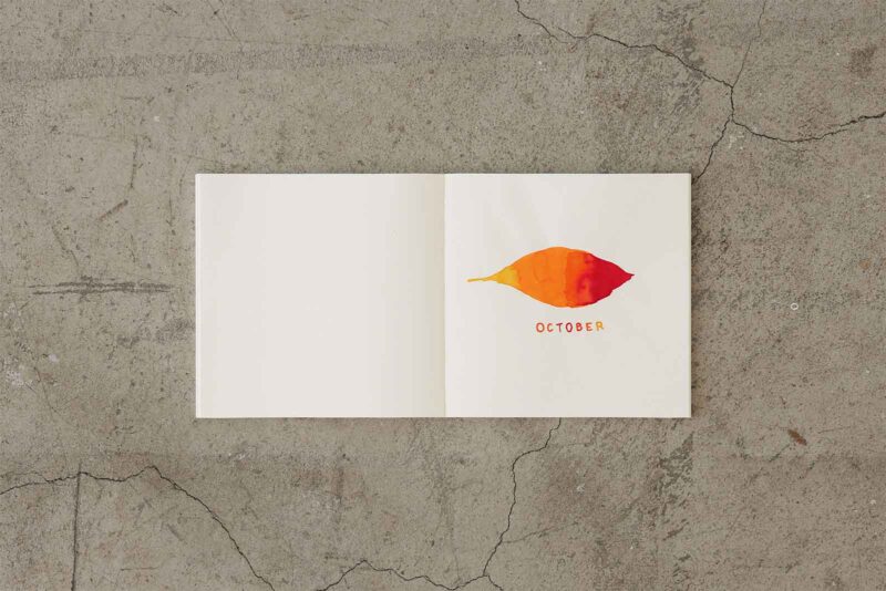 15347006-simeiomatario-tetragono-notebook-MD-Cottong-Square-Midori-MD-Paper-Art&Colour-Open-on-Concrete