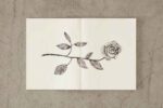 simeiomatario-Notebook-Blank-Paper-Midori-MD-Art&Colour-Gallery