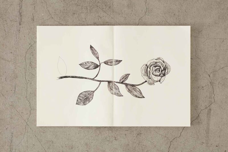 simeiomatario-Notebook-Blank-Paper-Midori-MD-Art&Colour-Gallery