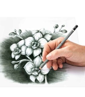 set-charcoal-pencils-3+1-Mars-Lumograph-Staedtler-Art&Colour-100C-SBK4-Example